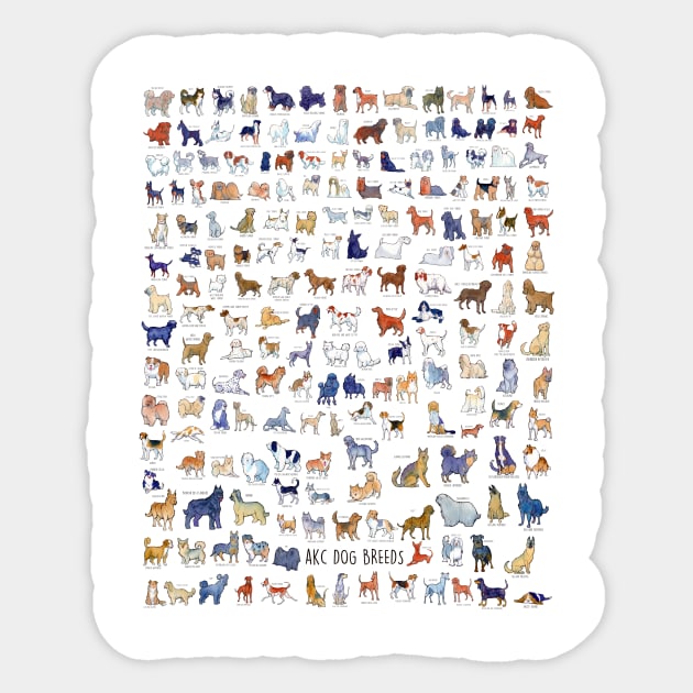 Dog akc breeds discount